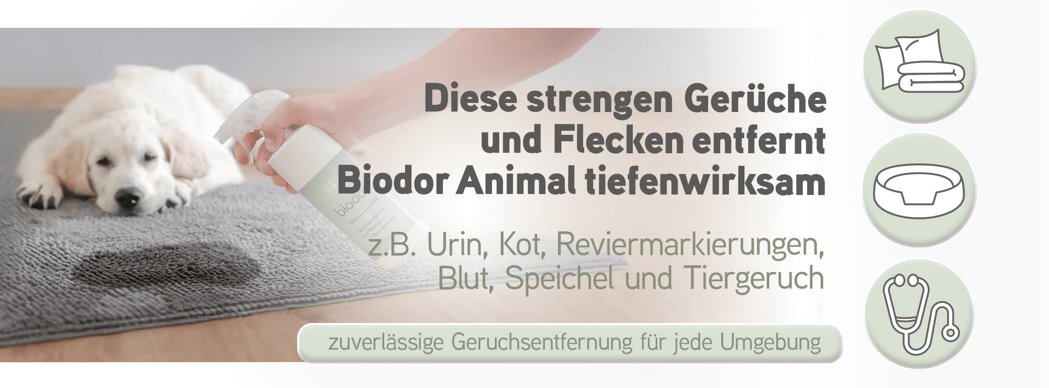 Biodor Animal entfernt strenge Gerüche und Flecken tiefenwirksam z.B. Urin, Kot, Reviermarkierungen, Blut, Speichel und Tiergeruch, zuverlässige Geruchsentfernung für jede Umgebung