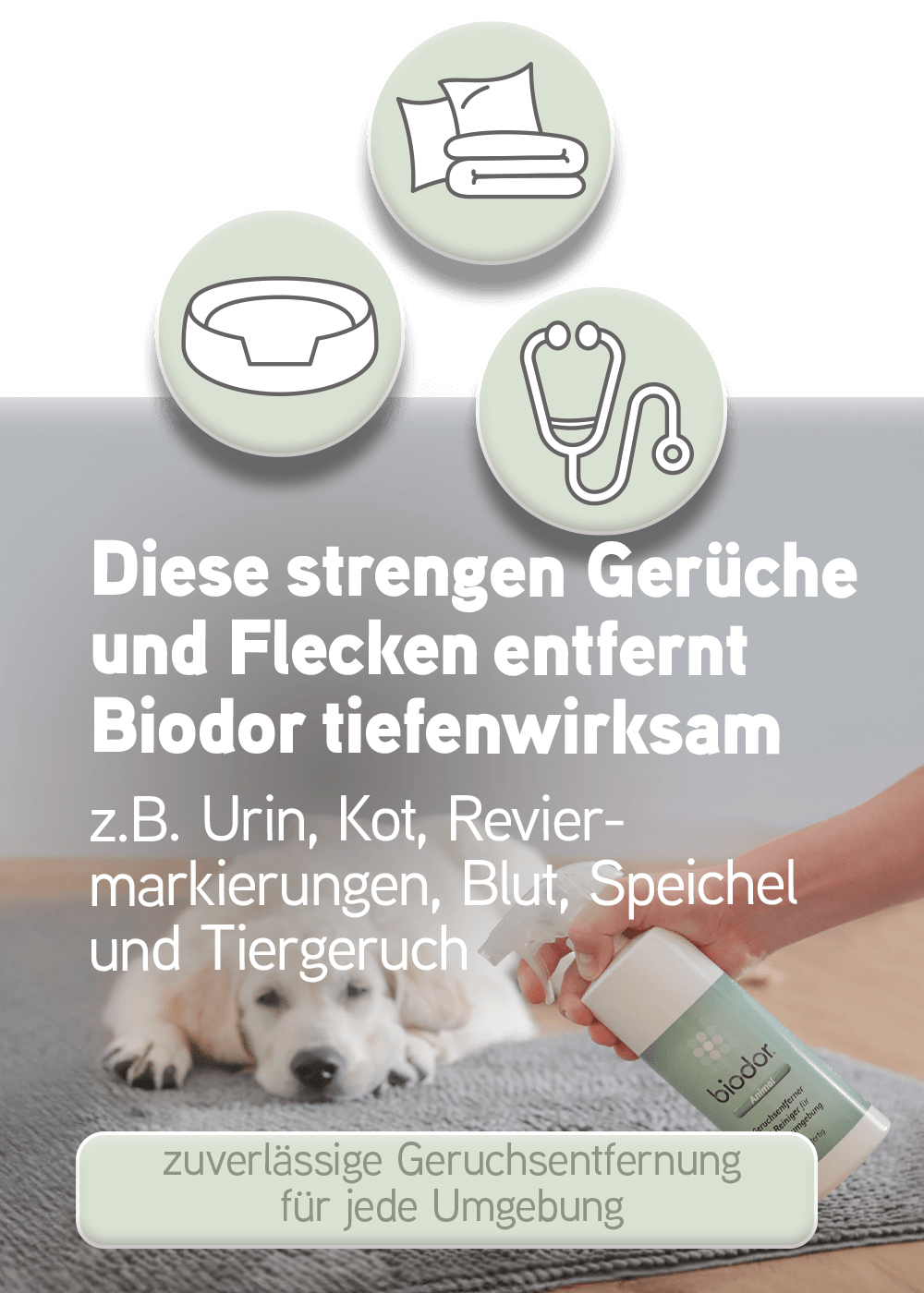 Biodor Animal entfernt strenge Gerüche und Flecken tiefenwirksam z.B. Urin, Kot, Reviermarkierungen, Blut, Speichel und Tiergeruch, zuverlässige Geruchsentfernung für jede Umgebung