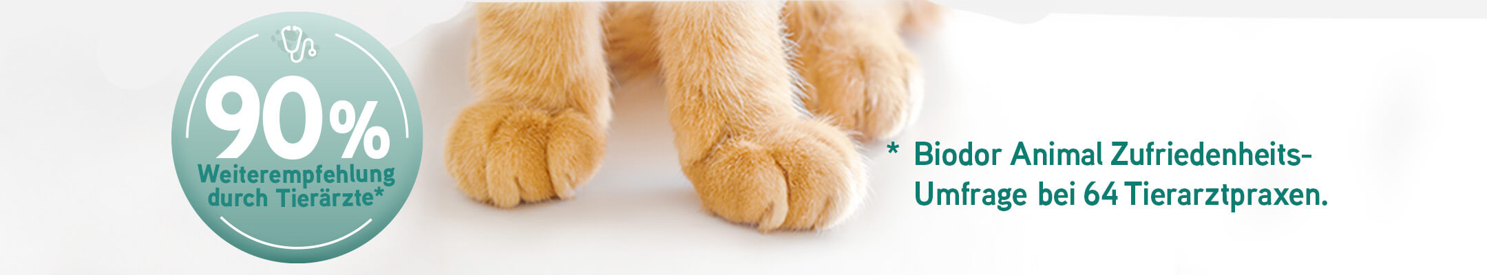 Katzenpfoten mit Text "Biodor Animal durch 90% der Tierärzte weiterempfohlen bei 64 Tierarztpraxen"
