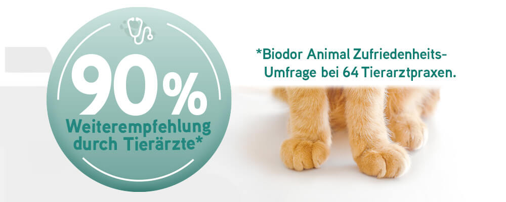 Katzenpfoten mit Text "Biodor Animal durch 90% der Tierärzte weiterempfohlen bei 64 Tierarztpraxen"