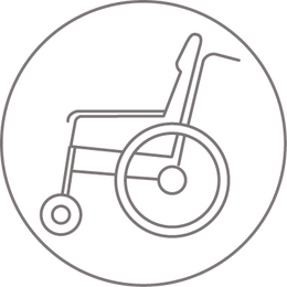 Biodor Anwendungspiktogramm Rollstuhl