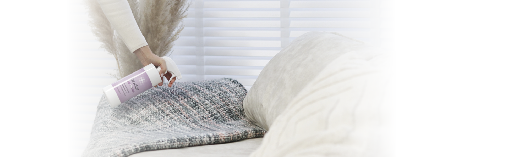 Biodor Pflege Anwendung im Wohnzimmer auf der Decke Desktop