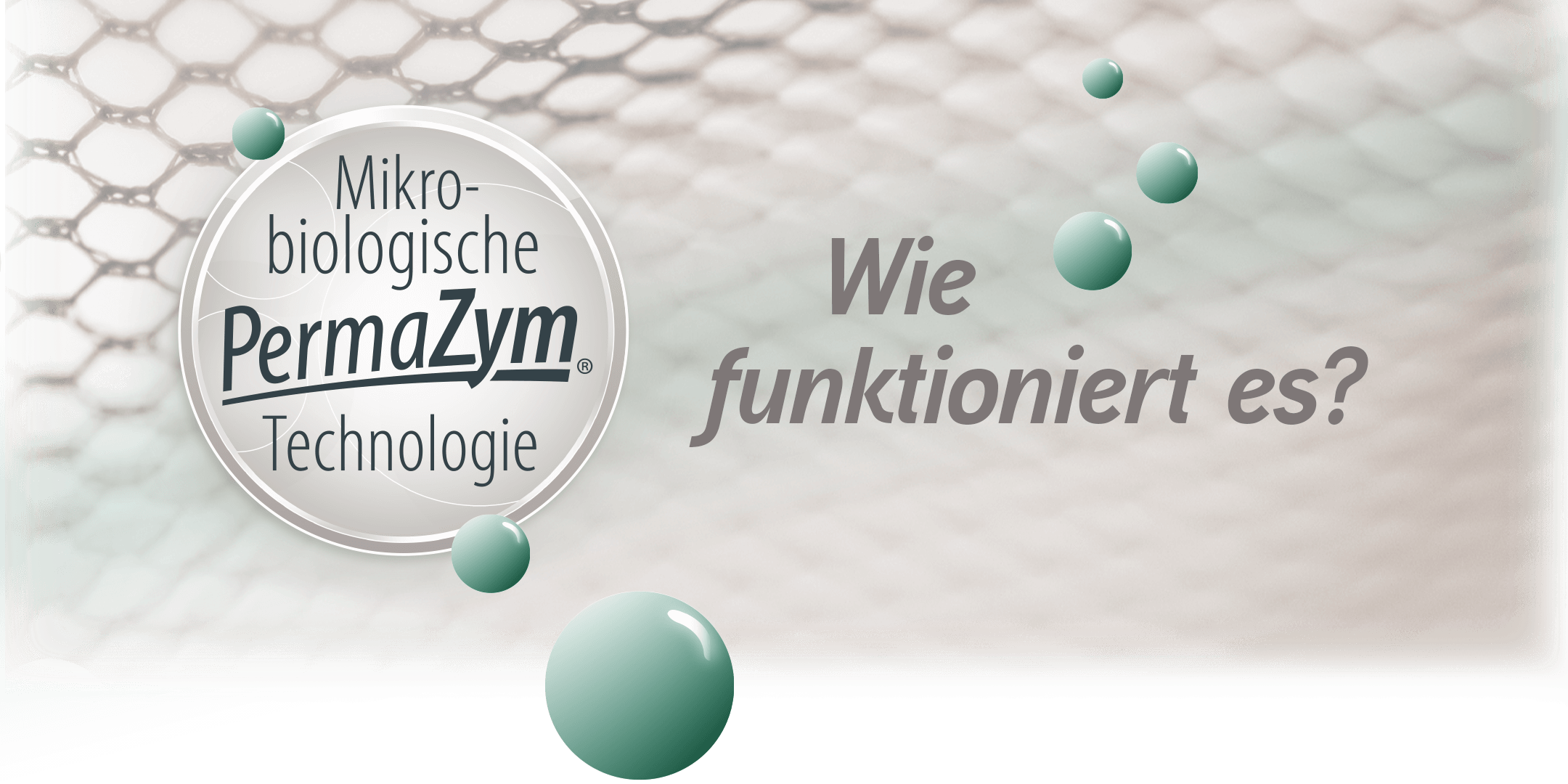 Biodor Mikrobiologische PermaZym Technologie mit Text "Wie funktioniert es?"