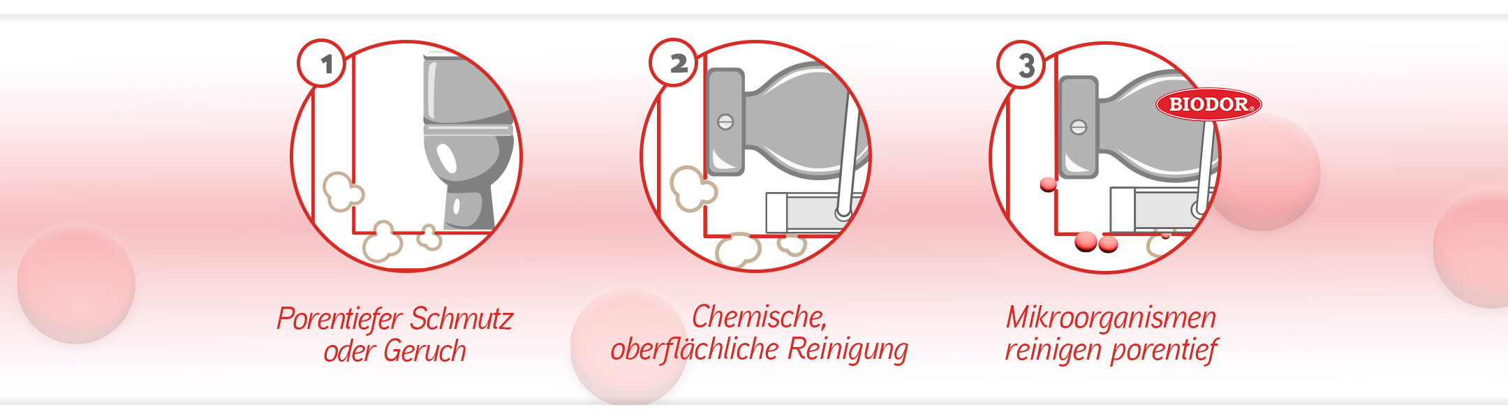 Porentiefe Reinheit mit Biodor