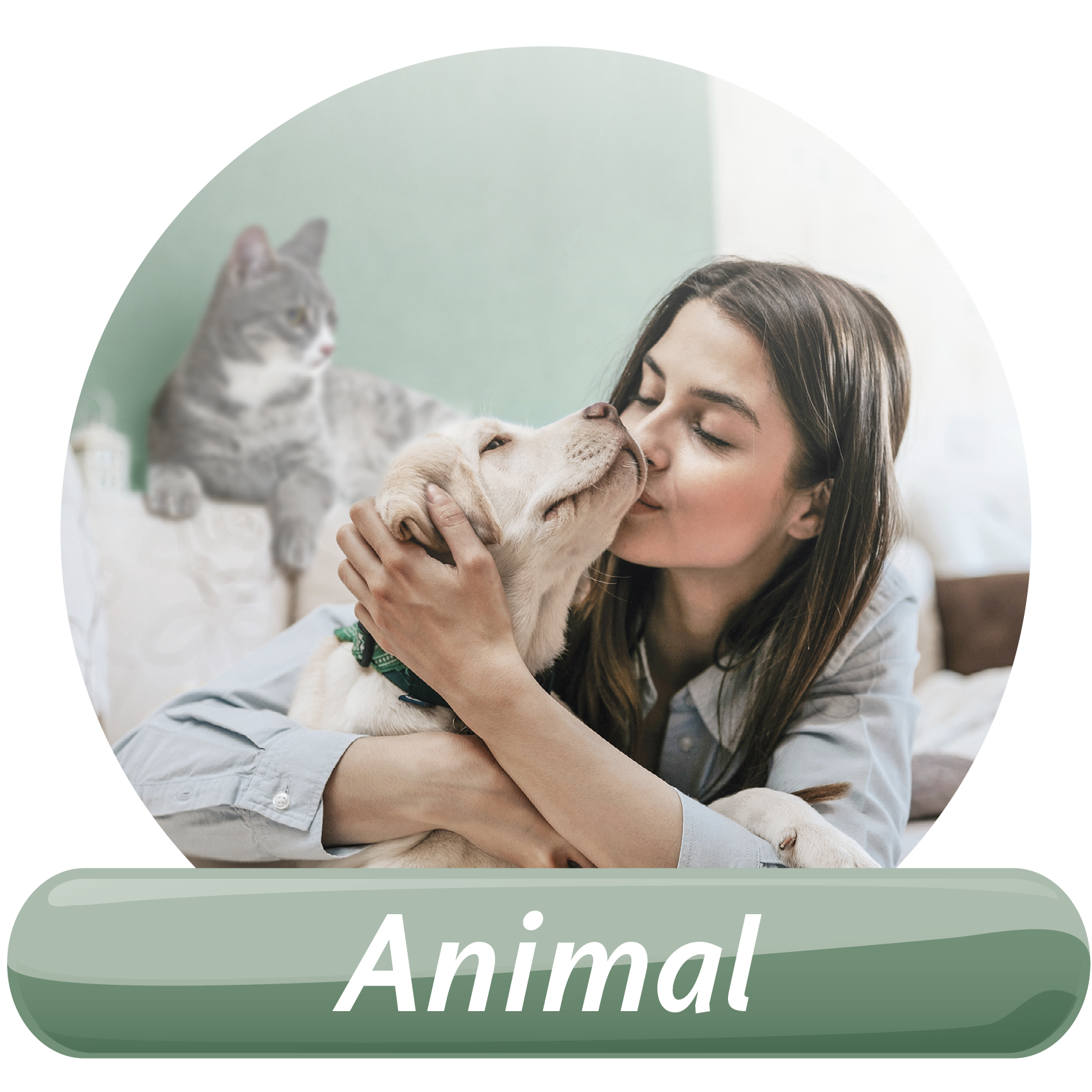 Biodor Animal